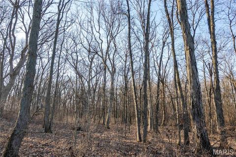 Tiny photo for 00 Highway B Highway, Elsberry, MO 63343 (MLS # 26008905)