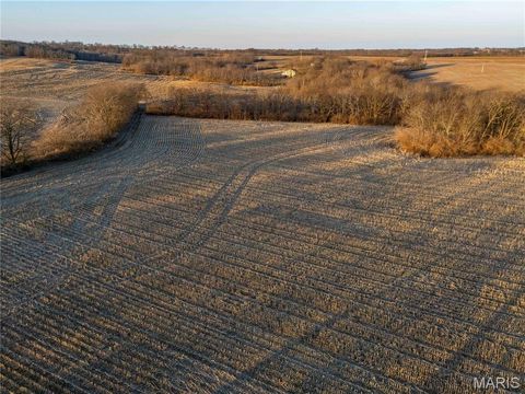 Tiny photo for 00 Highway B Highway, Elsberry, MO 63343 (MLS # 26008905)