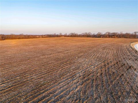 Tiny photo for 00 Highway B Highway, Elsberry, MO 63343 (MLS # 26008905)