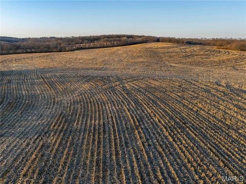 Tiny photo for 00 Highway B Highway, Elsberry, MO 63343 (MLS # 26008905)