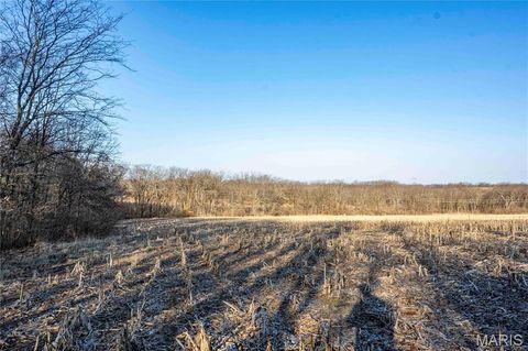 Tiny photo for 00 Highway B Highway, Elsberry, MO 63343 (MLS # 26008905)