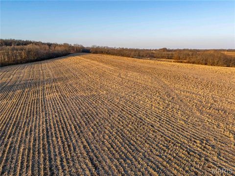 Tiny photo for 00 Highway B Highway, Elsberry, MO 63343 (MLS # 26008905)