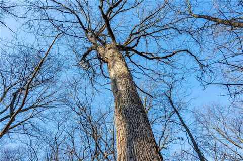 Tiny photo for 00 Highway B Highway, Elsberry, MO 63343 (MLS # 26008905)