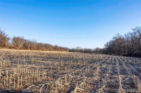 Tiny photo for 00 Highway B Highway, Elsberry, MO 63343 (MLS # 26008905)