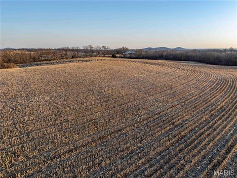 Tiny photo for 00 Highway B Highway, Elsberry, MO 63343 (MLS # 26008905)