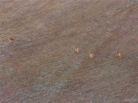 Tiny photo for 00 Highway B Highway, Elsberry, MO 63343 (MLS # 26008905)