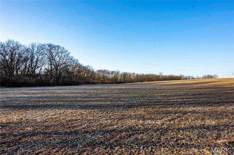 Tiny photo for 00 Highway B Highway, Elsberry, MO 63343 (MLS # 26008905)