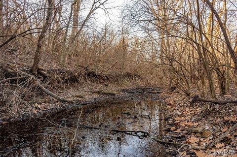 Tiny photo for 00 Highway B Highway, Elsberry, MO 63343 (MLS # 26008905)