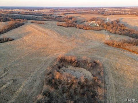 Tiny photo for 00 Highway B Highway, Elsberry, MO 63343 (MLS # 26008905)