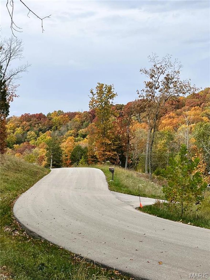 Build your own dream home at the exclusive Red Oaks Valley subdivision. Lot 31 has a great view and is perfect for your custom home with a side walk-out basement site for a ranch or a two-story home with plenty of space for outdoor fun and your own personal freedom on 1.22 acres. It backs up to a larger parcel giving extra privacy.  Nestled in the woods with wildlife but close to Highways 21, 30, M, I-55, and I-270. Also only 7 minutes away from the top-rated Seckman School District or shopping. Build your own custom home on your own timeline, with your own plans, and with your own builder! Public water and sewer, gas, asphalt roads, high speed internet, cable, and street lights. Call today for a personal tour. Additional Rooms: In Platted Subdv.