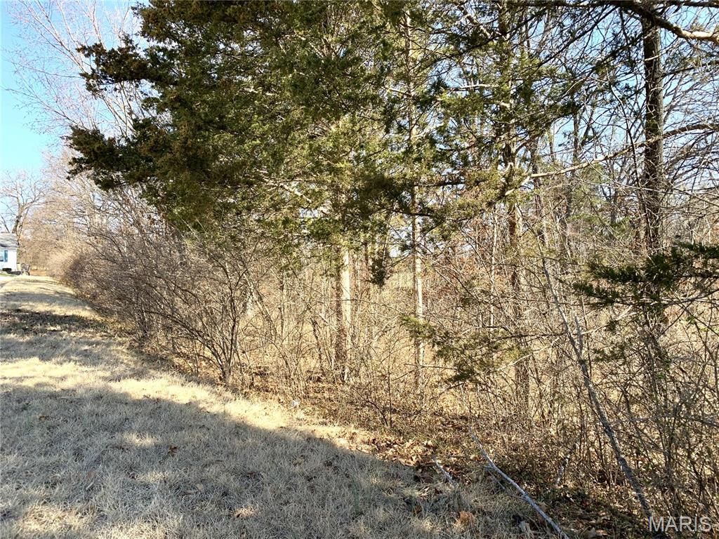 Photo of 0 Heard Court, Union, MO 63084 (MLS # 26013731)