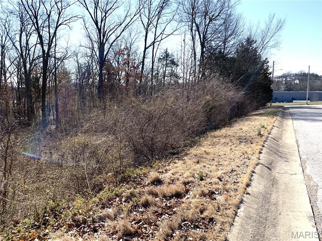 Photo of 0 Heard Court, Union, MO 63084 (MLS # 26013731)