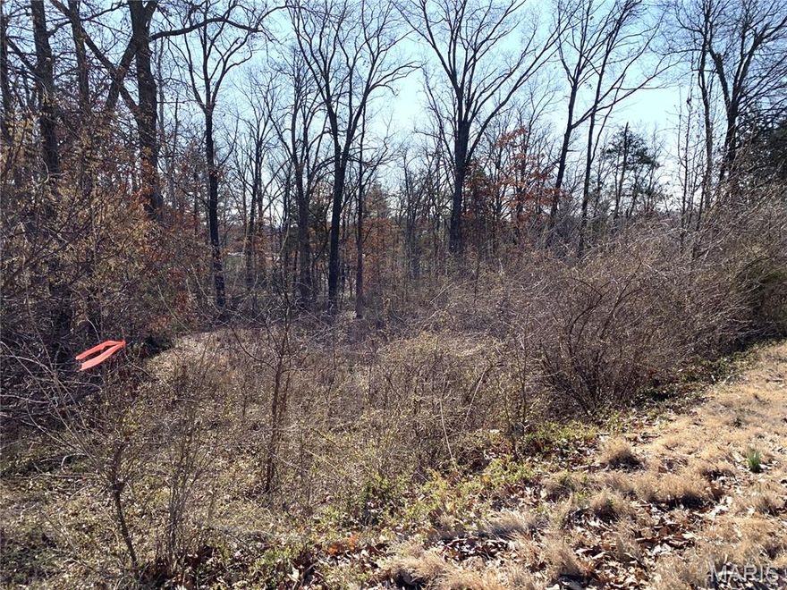 Need a place to build a home?  This could be what you've been looking for!  Located on the edge of town but minutes from shopping, schools and parks, this property gives you a quiet spot to call home!  The 0.62 acre lot, situated on a cul-de-sac,  gives you plenty of room to build a home plus have a nice yard with some mature trees, too!  Get ready to put those building plans into action on this corner lot that gives options for that perfect home site!  What an opportunity...don't let this property get away!  *Orange ribbons mark the approximate property corners*   **The sewer manhole is at the edge of the lot for easy access.**