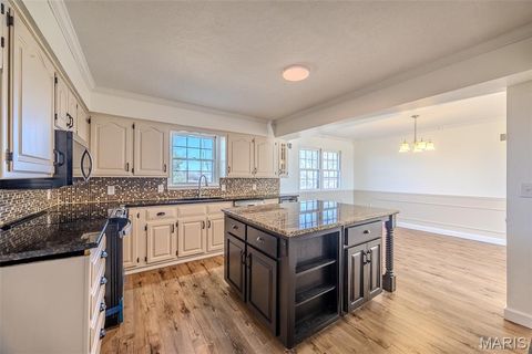 Tiny photo for 227 E Fremont Road, Lebanon, MO 65536 (MLS # 26030637)