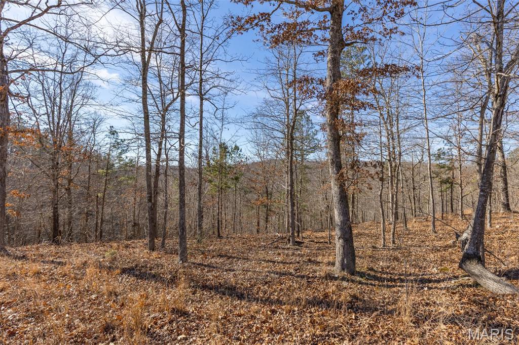 Black River Properties - Residential