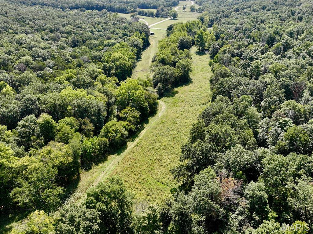 1921 Tanglefoot Farms Road