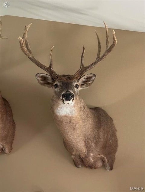 Tiny photo for 314 County Road 212, Linn, MO 65051 (MLS # 26058947)