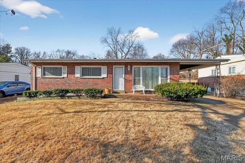 Photo of 9763 Glen Owen Drive, Unincorporated, MO 63136 (MLS # 26008486)