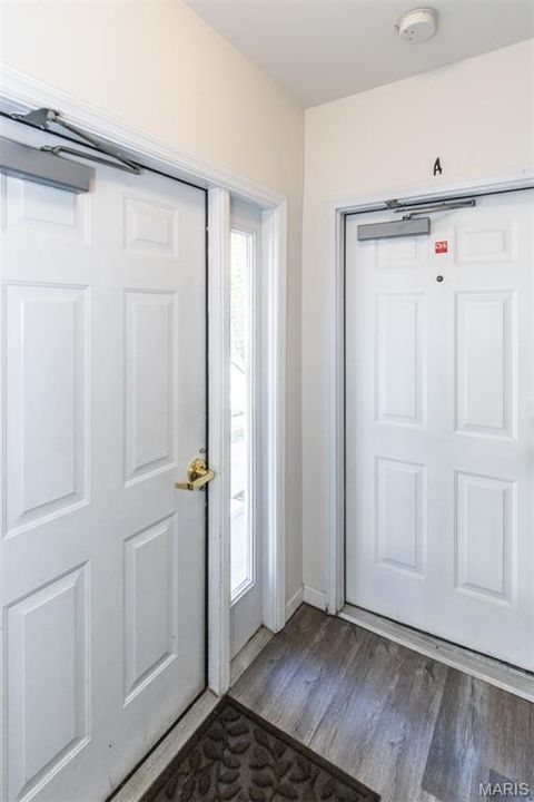 Tiny photo for 1622 Forest Springs Lane #A, Ballwin, MO 63021 (MLS # 25074539)