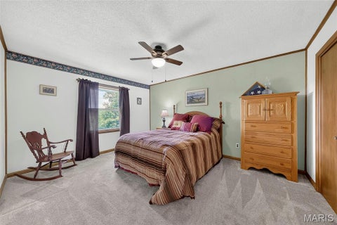 Tiny photo for 14524 Pike 277, Louisiana, MO 63353 (MLS # 26055337)