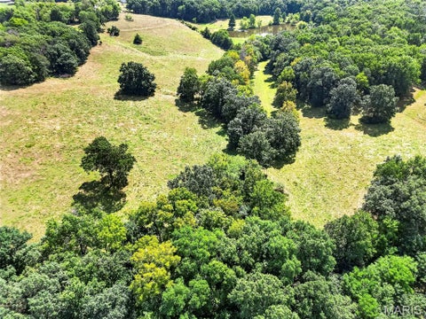 Tiny photo for 14524 Pike 277, Louisiana, MO 63353 (MLS # 26055337)