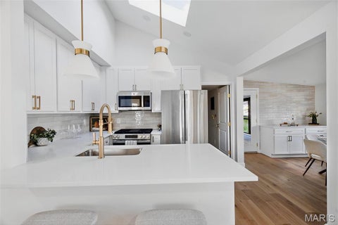 Tiny photo for 928 S Gore Avenue, Webster Groves, MO 63119 (MLS # 26067028)