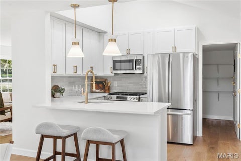 Tiny photo for 928 S Gore Avenue, Webster Groves, MO 63119 (MLS # 26067028)