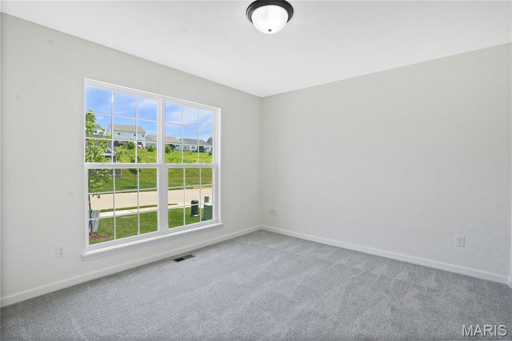 Estates at Windswept Farms 279 - Residential