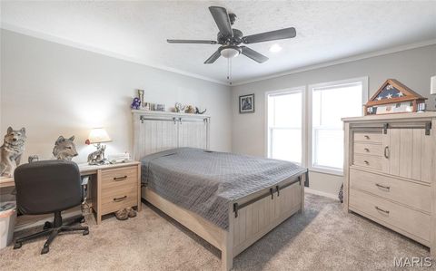 Tiny photo for 37801 State Highway HH, Patton, MO 63662 (MLS # 26011027)