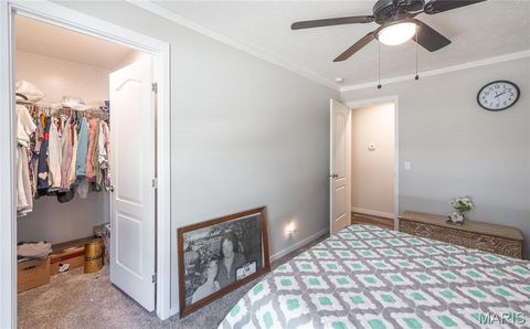 Tiny photo for 37801 State Highway HH, Patton, MO 63662 (MLS # 26011027)