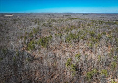 Tiny photo for 37801 State Highway HH, Patton, MO 63662 (MLS # 26011027)