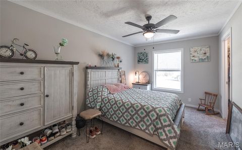 Tiny photo for 37801 State Highway HH, Patton, MO 63662 (MLS # 26011027)