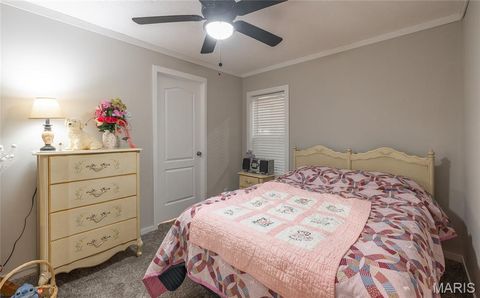 Tiny photo for 37801 State Highway HH, Patton, MO 63662 (MLS # 26011027)