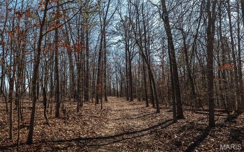 Tiny photo for 37801 State Highway HH, Patton, MO 63662 (MLS # 26011027)