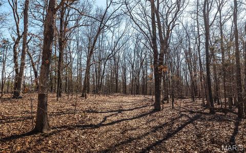 Tiny photo for 37801 State Highway HH, Patton, MO 63662 (MLS # 26011027)