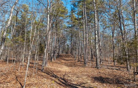 Tiny photo for 37801 State Highway HH, Patton, MO 63662 (MLS # 26011027)