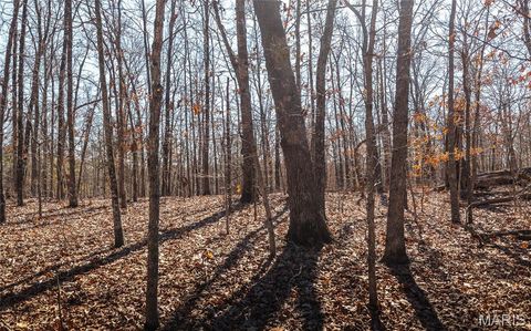 Tiny photo for 37801 State Highway HH, Patton, MO 63662 (MLS # 26011027)