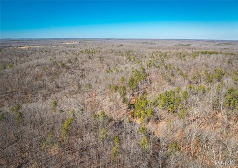 Tiny photo for 37801 State Highway HH, Patton, MO 63662 (MLS # 26011027)