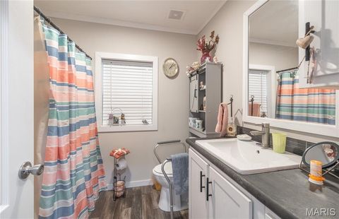 Tiny photo for 37801 State Highway HH, Patton, MO 63662 (MLS # 26011027)
