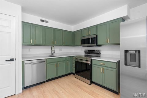 Tiny photo for 1920 Hunting Lake Court #202, Kirkwood, MO 63122 (MLS # 25069805)