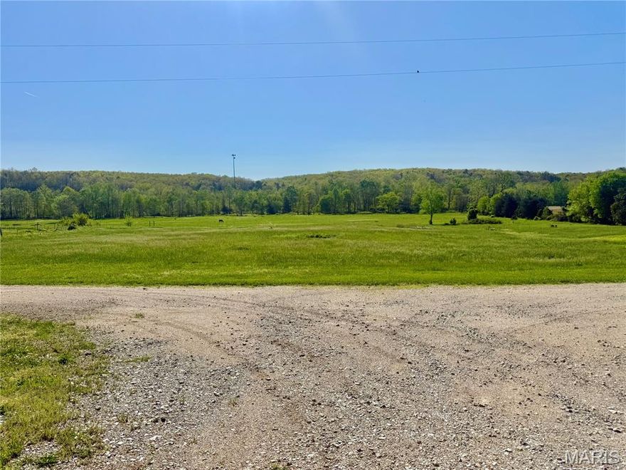 Welcome to your slice of peaceful country living! This 2009 single-wide home offers 2 bedrooms and 2 full bathrooms, perfectly situated on 5 acres of open pasture ground—ideal for anyone seeking space, privacy, and a touch of rural charm. Step inside to find a spacious living room that flows seamlessly into a bright, open kitchen featuring modern touches, updated appliances, and a brand-new refrigerator. Whether you’re entertaining guests or enjoying a quiet night in, this home offers a comfortable and functional layout designed for everyday living. The primary bedroom includes its own private full bathroom, providing a relaxing retreat at the end of the day, while the second bedroom and additional full bath offer flexibility for family, guests, or office space. Outside is where this property truly shines. The 5 acres of open pasture create endless opportunities for homesteading, hobby farming, gardening, or simply enjoying wide-open views. The land features fruit trees, including plum trees, adding both beauty and practicality to the property. A chicken coop and greenhouse are already in place, making it easy to start your own sustainable lifestyle right away. Additional highlights include a detached two-car carport to protect your vehicles from the elements,  and an oversized septic system. The property is serviced by a well and septic and is an all-electric home, offering added flexibility in utilities. The land has already been surveyed, giving you peace of mind and clarity for future plans. Enjoy your mornings and evenings from the front or rear porch, where every direction offers peaceful country views. The house is located just a short drive from Fredericktown, you’ll have the perfect balance of rural tranquility and convenient access to town amenities. All road leading to the property are paved allowing for easy access.  Whether you’re looking to start a homestead, invest in land, or simply enjoy country living, this property is full of opportunity and ready to welcome you home.