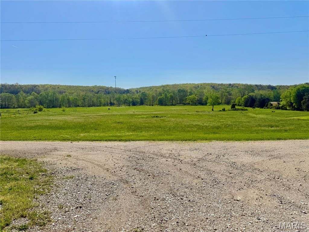 Photo of 1795 Madison 417, Fredericktown, MO 63645 (MLS # 26024195)