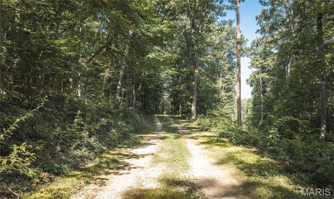 Tiny photo for 385 Highway V, Davisville, MO 65456 (MLS # 26056523)