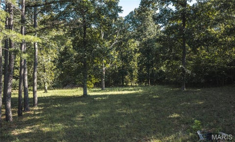 Tiny photo for 385 Highway V, Davisville, MO 65456 (MLS # 26056523)