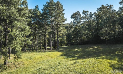 Tiny photo for 385 Highway V, Davisville, MO 65456 (MLS # 26056523)