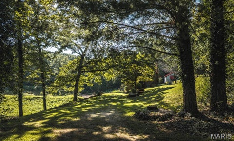 Tiny photo for 385 Highway V, Davisville, MO 65456 (MLS # 26056523)