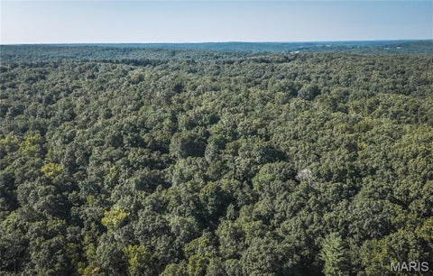 Tiny photo for 385 Highway V, Davisville, MO 65456 (MLS # 26056523)