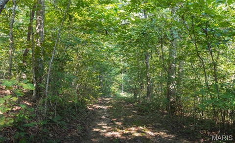 Tiny photo for 385 Highway V, Davisville, MO 65456 (MLS # 26056523)