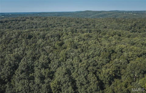 Tiny photo for 385 Highway V, Davisville, MO 65456 (MLS # 26056523)