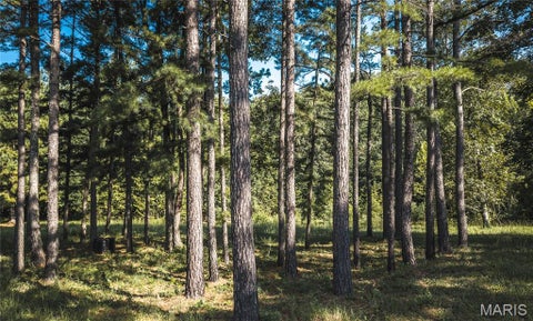 Tiny photo for 385 Highway V, Davisville, MO 65456 (MLS # 26056523)